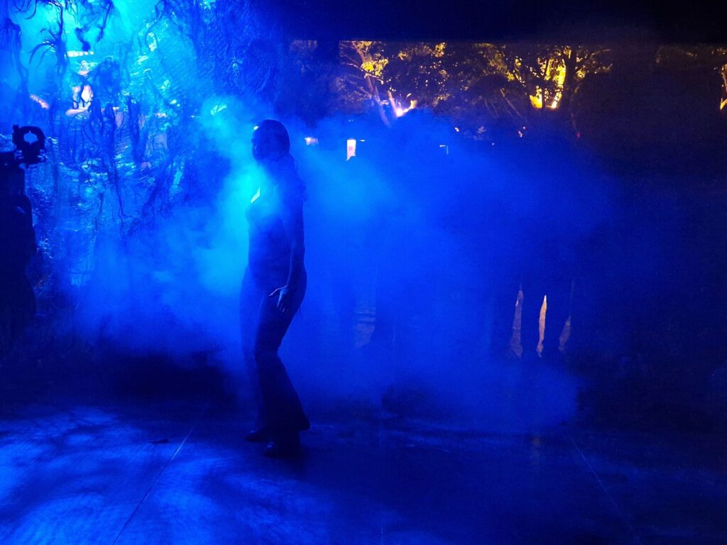 danseperformances