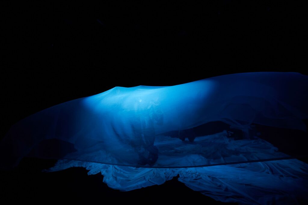 Kaskelotternes Sang - Teatret Møllen: Foto: Søren Hasselgaard Skaanning.