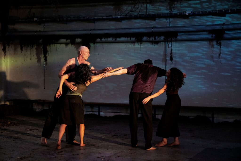 Vi Fortsætter, Aaben Dans. Foto: Lærke Posselt.