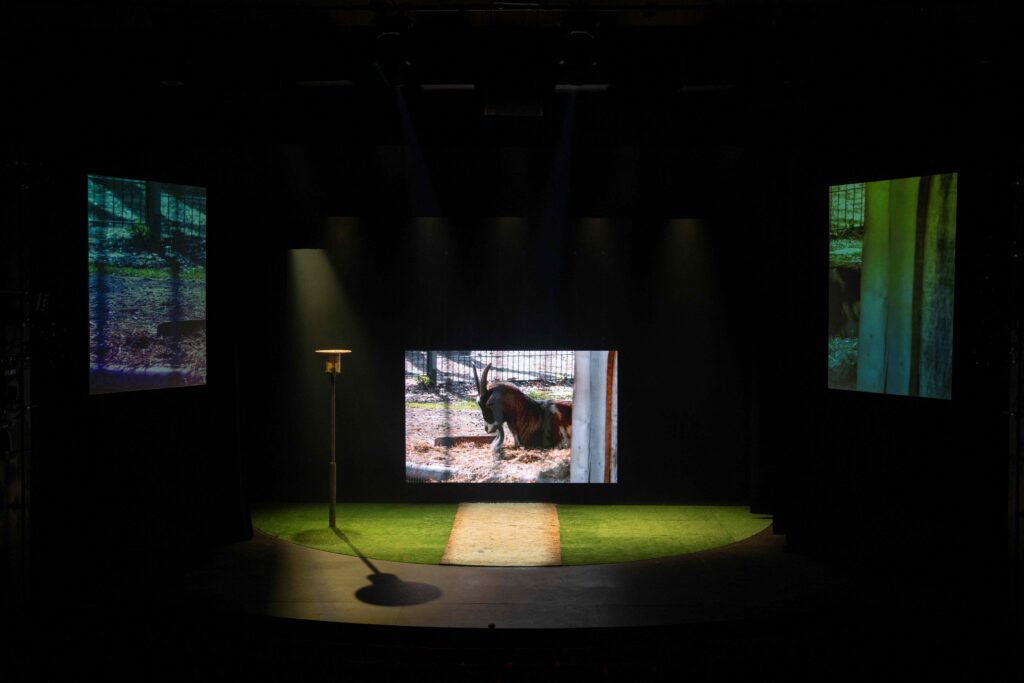 Socks&Stilettos. Nørrebro Teater. Videooptagelser af billedkunstner, Sara Sjölin. Foto: LivLatriciaHabel.