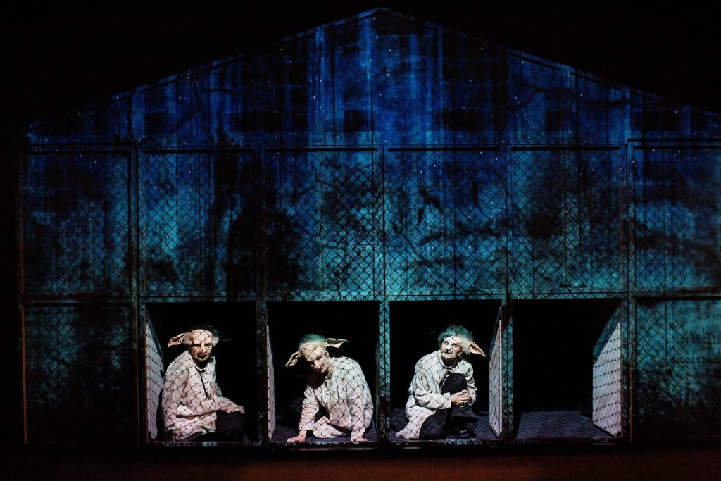 Meridiano Teatret er blandt de kompagnier, der ikke fik forlænget driftsstøtten i år. Her billede fra den Reumertnominerede Animals (2023). Foto: Ditte Valente.